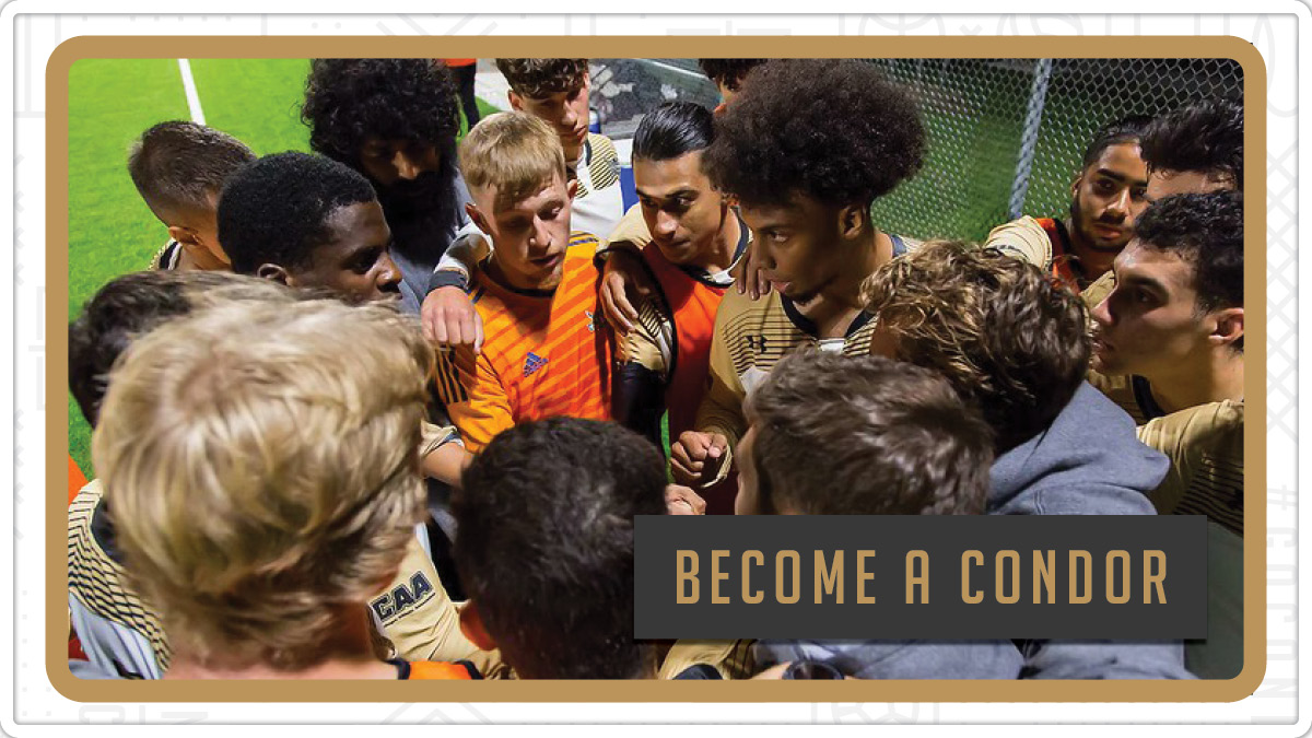 Become a Condor