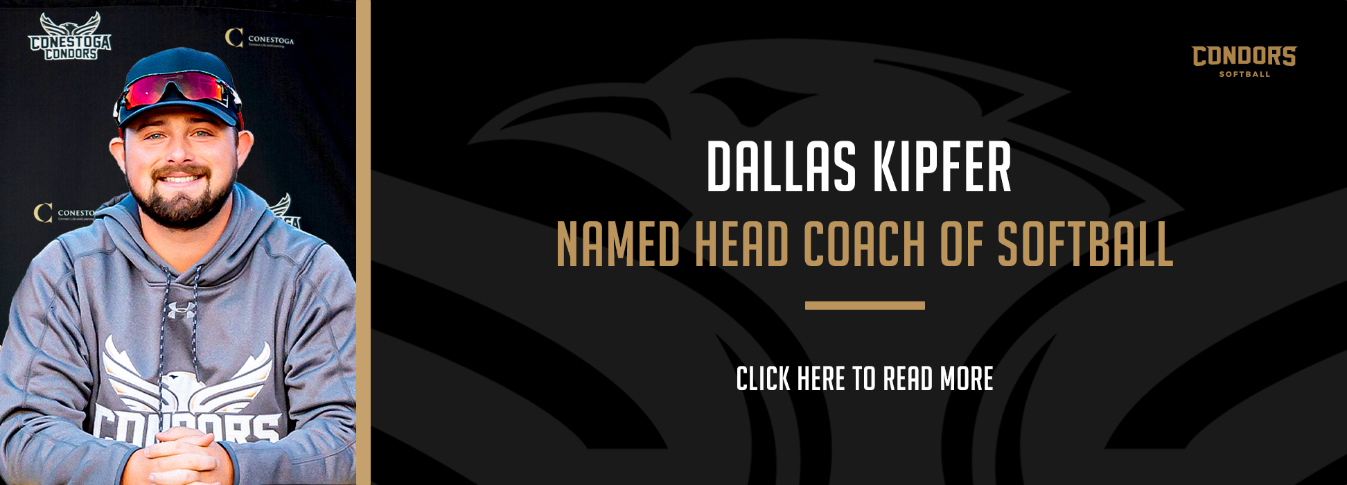 A headline banner reading Dallas Kipfer Named Head Coach of Softball