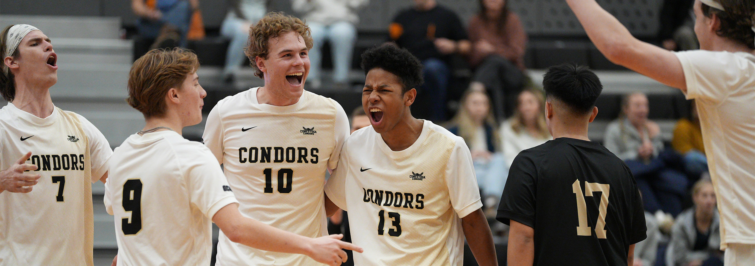 Photo of the Men's Volleyball team Celebrating.