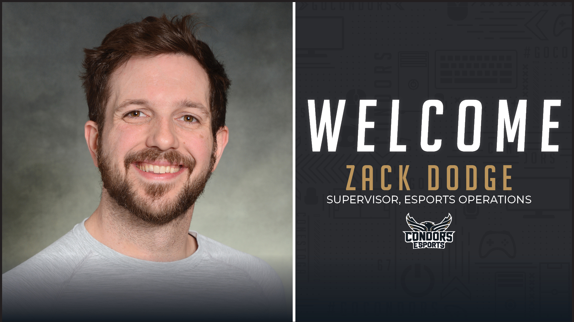 Condors Appoint First Esports Supervisor