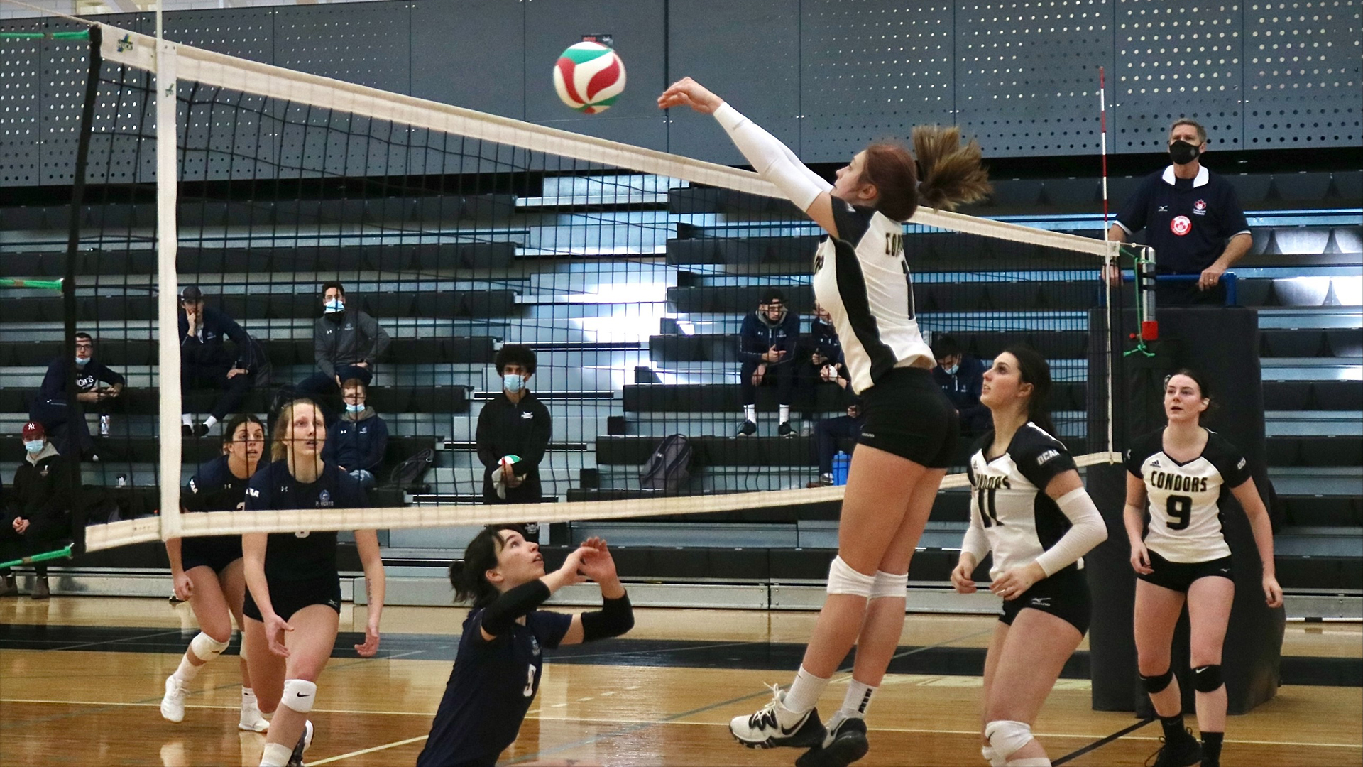 WVB Grab Their First Win!
