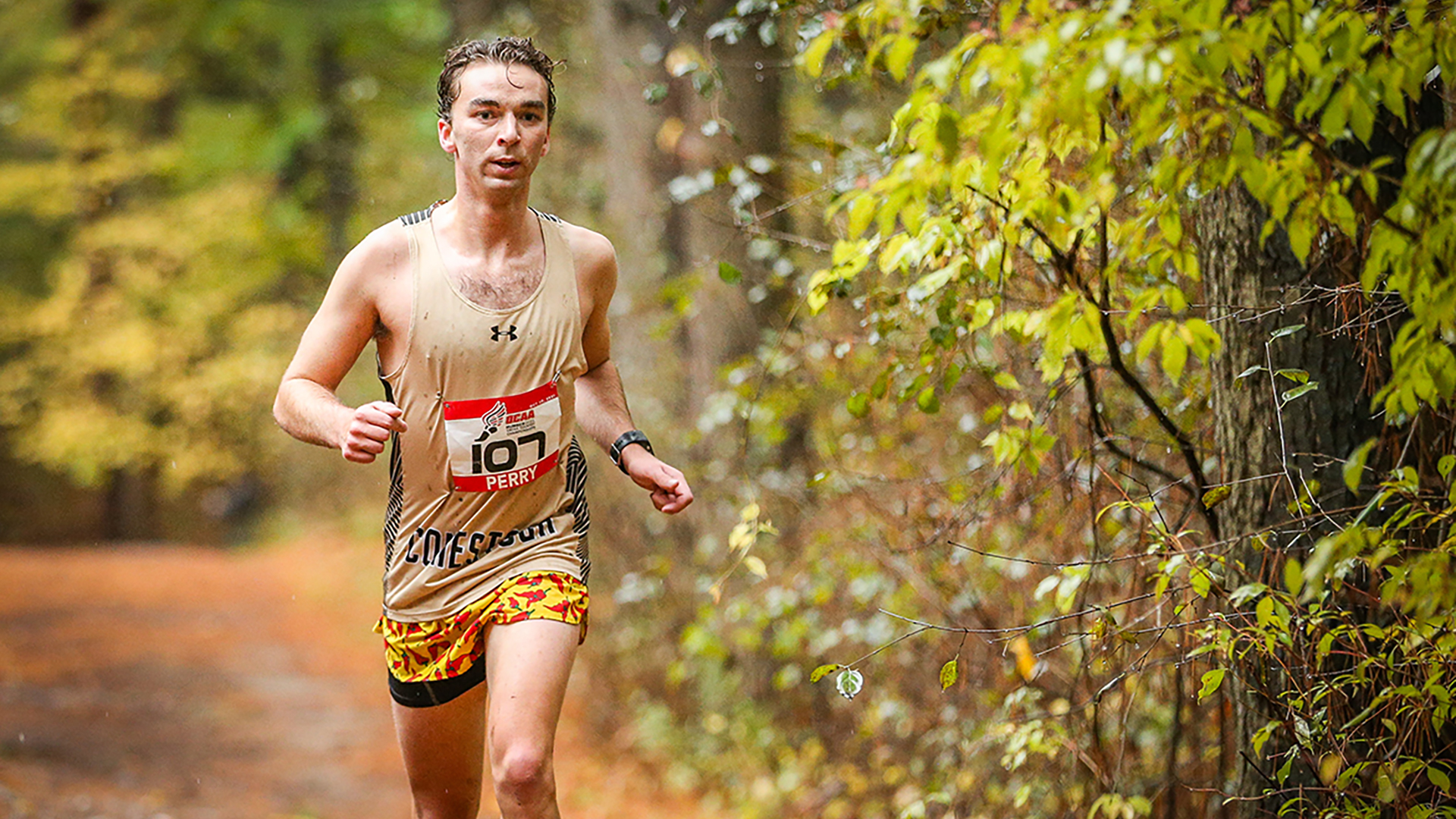 Condors XC are recruiting for 2022!